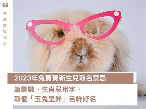 兔寶寶 取名|2023年兔寶寶新生兒取名禁忌：筆劃數、生肖忌用。